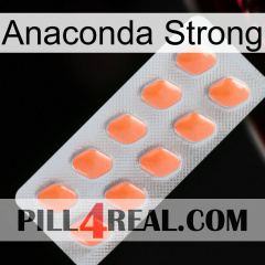 Anaconda Strong 26